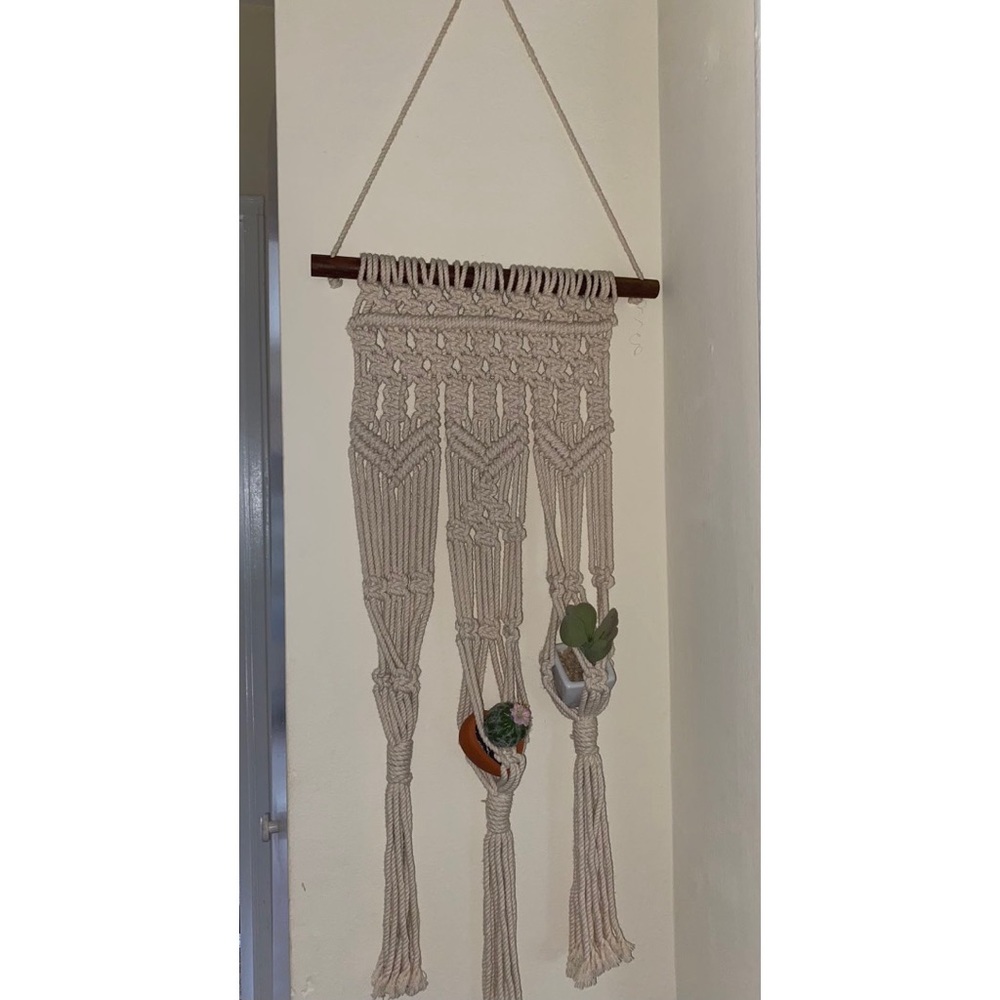 Hanging wall plant holder